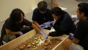 Art handler sedang mempersiapkan karya karya yang akan di pamerkan di Museum Nasional Indonesia