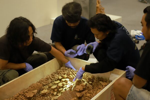 Art handler sedang mempersiapkan karya karya yang akan di pamerkan di Museum Nasional Indonesia